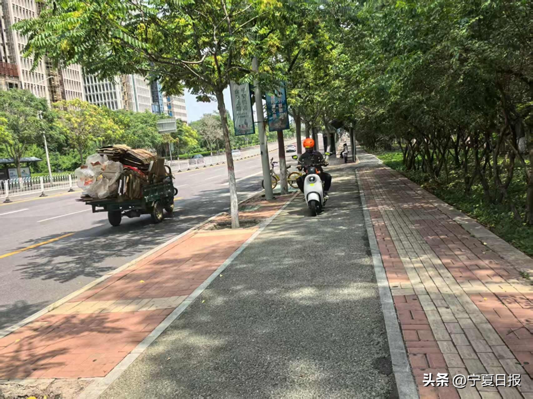 电动自行车违章高发原因调查，交通乱象亟待整治