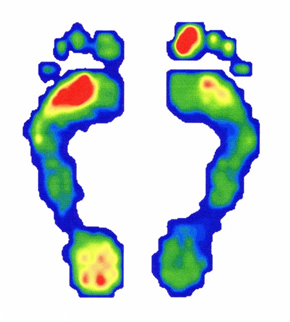 2026年高考地理备考指南:把握命题趋势,构建复习框架