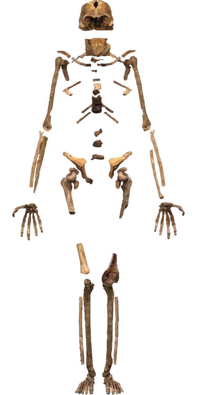 探寻大学爱情本质:特殊关系,反映成熟责任,呼唤成长未来