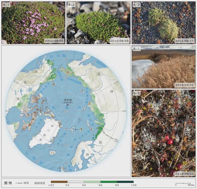 高考地理:植被特征考点全解析,气候地形等要素综合分析