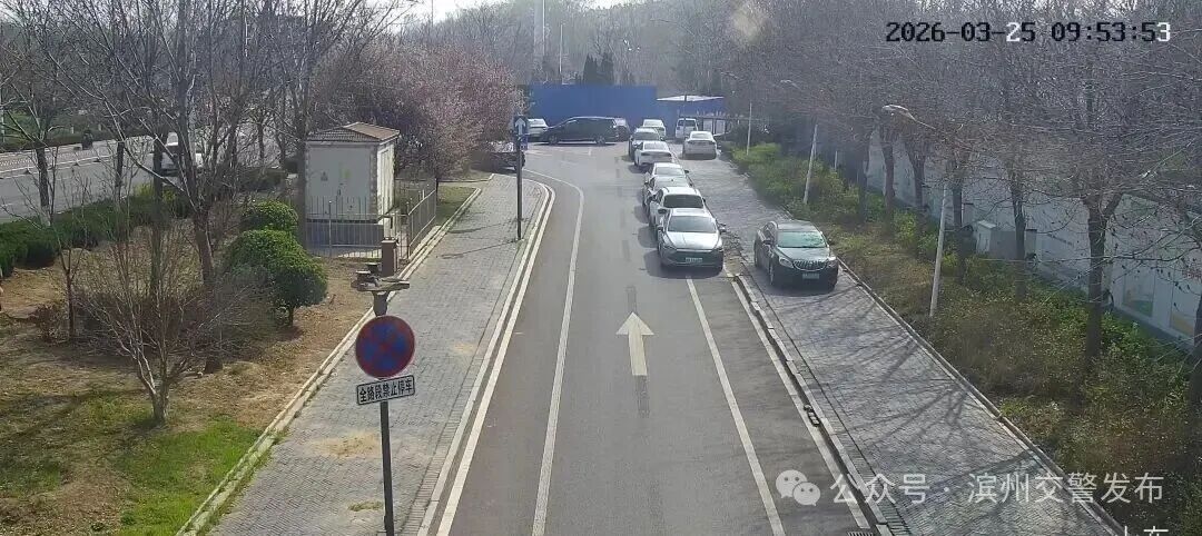 滨州2025年违章高发时段分析:这些路口闯红灯、不礼让行人最易犯